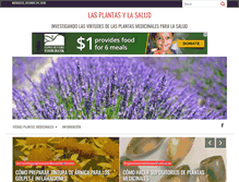 Tablet Screenshot of plantasysalud.com